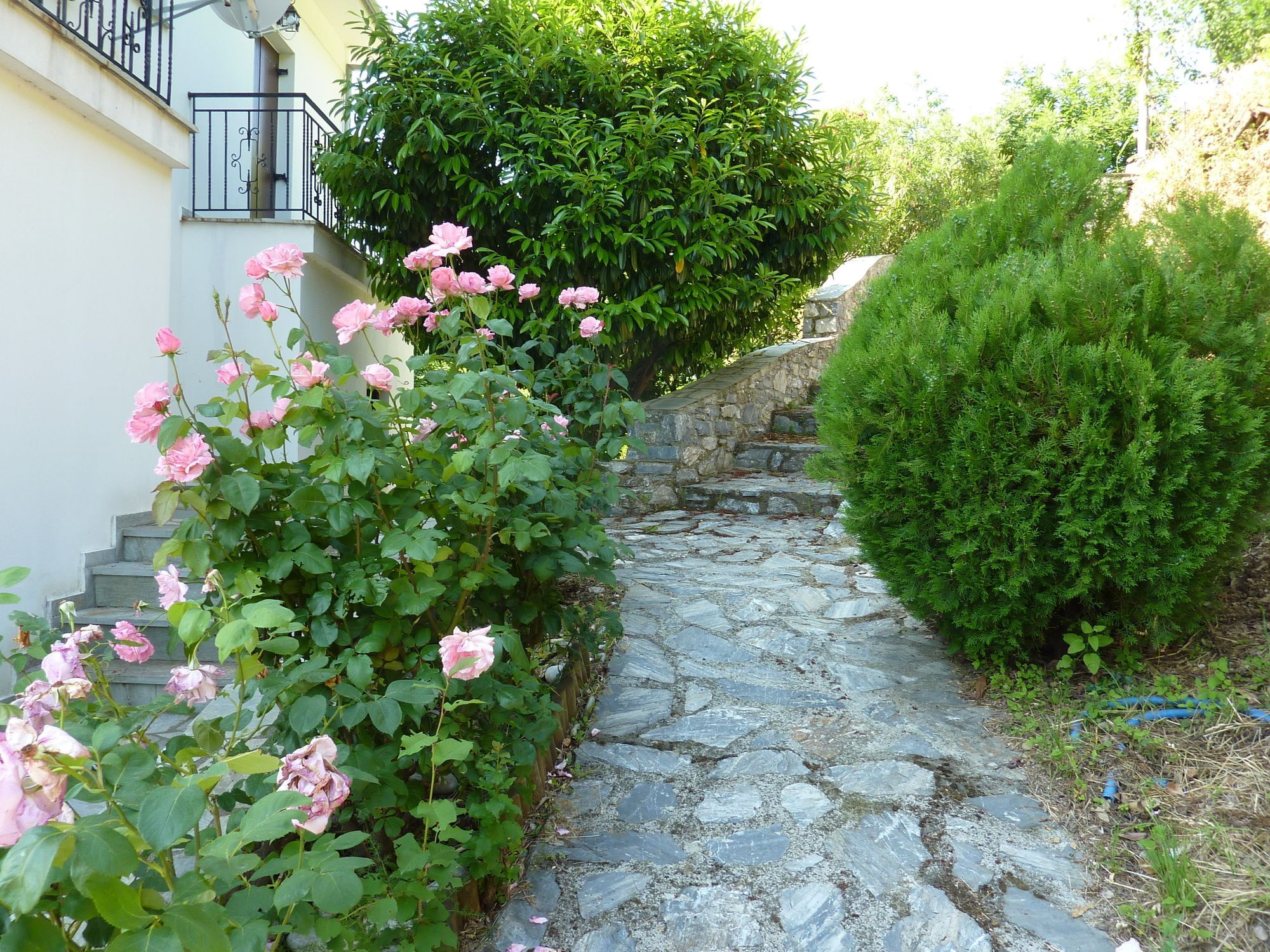Villa Thea Makrirrákhi Exterior photo